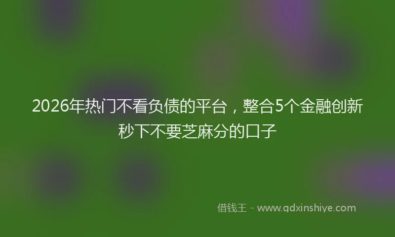 2026年热门不看负债的平台，整合5个金融创新秒下不要芝麻分的口子