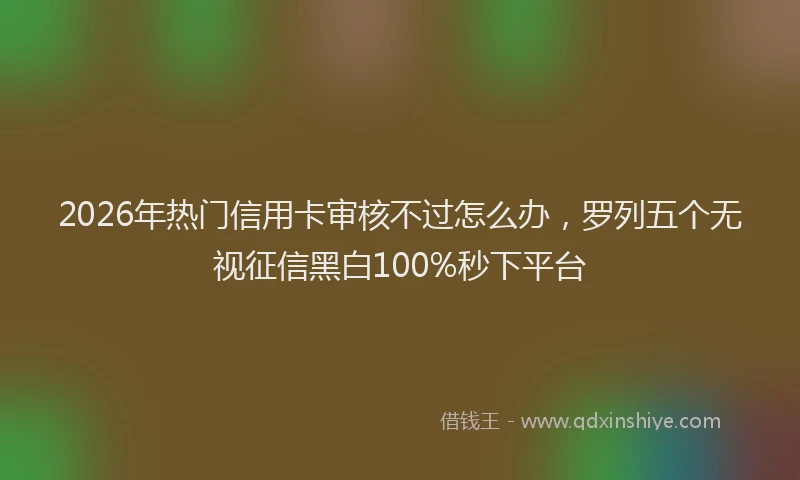2026年热门信用卡审核不过怎么办，罗列五个无视征信黑白100%秒下平台