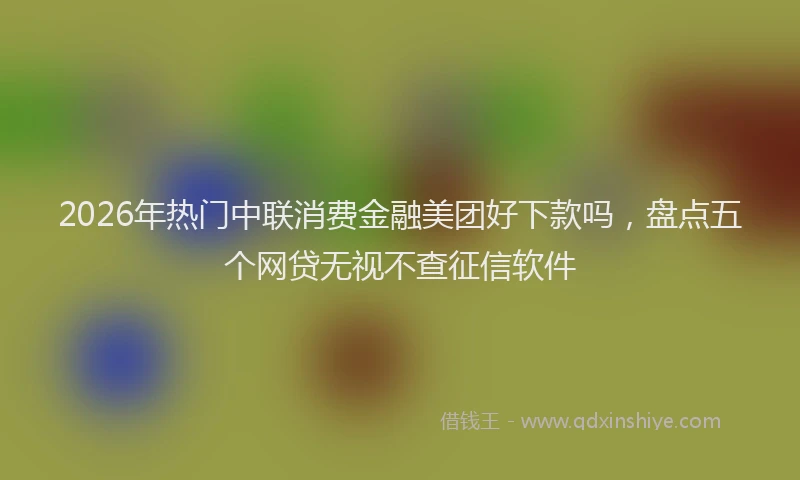 2026年热门中联消费金融美团好下款吗，盘点五个网贷无视不查征信软件
