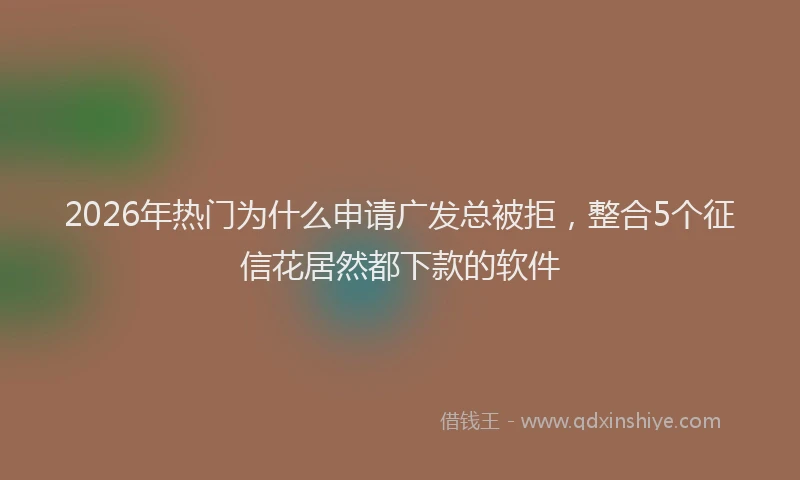 2026年热门为什么申请广发总被拒，整合5个征信花居然都下款的软件