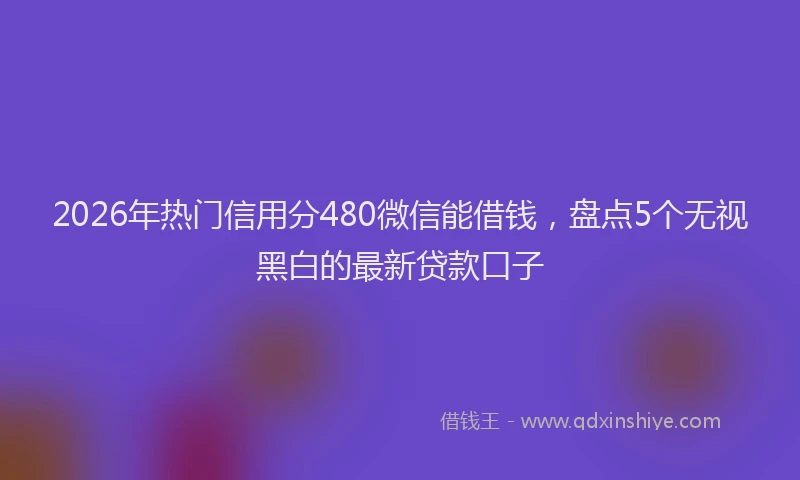2026年热门信用分480微信能借钱，盘点5个无视黑白的最新贷款口子