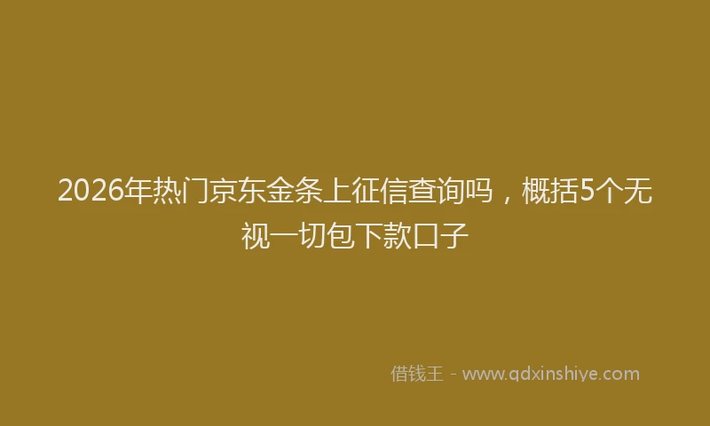2026年热门京东金条上征信查询吗，概括5个无视一切包下款口子