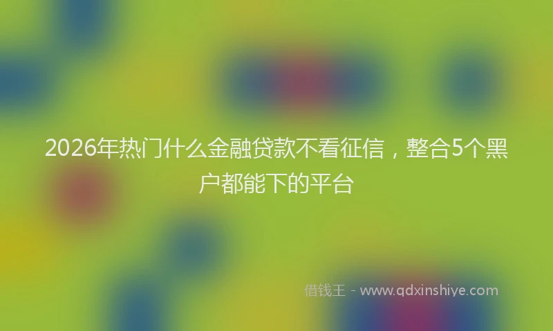 2026年热门什么金融贷款不看征信，整合5个黑户都能下的平台