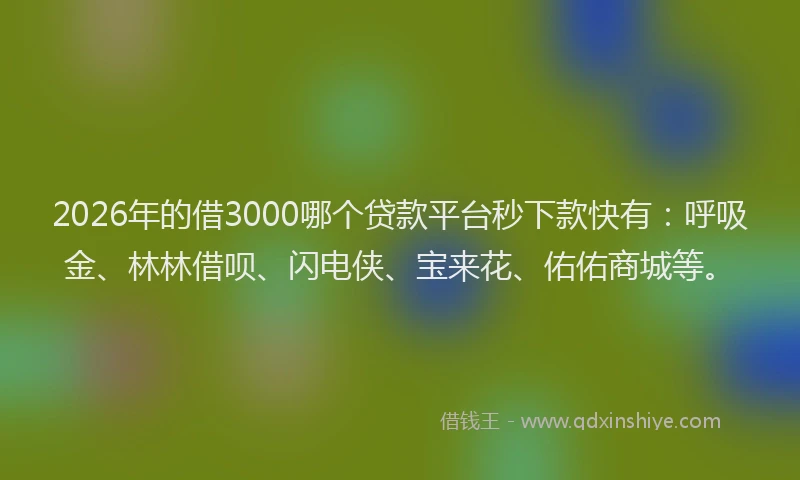 2026年的借3000哪个贷款平台秒下款快有：呼吸金、林林借呗、闪电侠、宝来花、佑佑商城等。