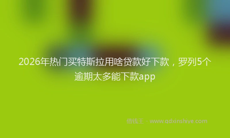 2026年热门买特斯拉用啥贷款好下款，罗列5个逾期太多能下款app