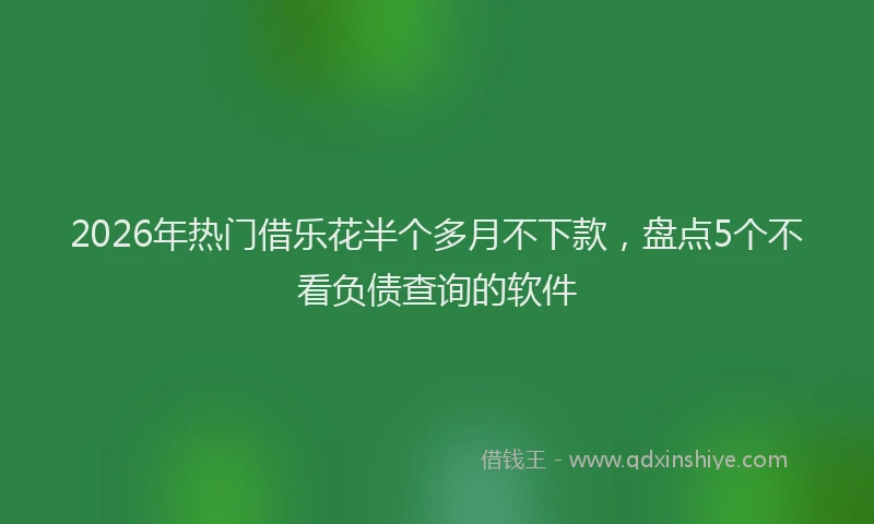 2026年热门借乐花半个多月不下款，盘点5个不看负债查询的软件