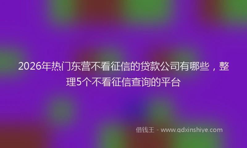 2026年热门东营不看征信的贷款公司有哪些，整理5个不看征信查询的平台