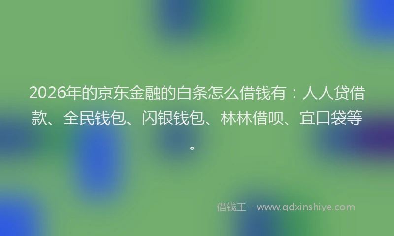 2026年的京东金融的白条怎么借钱有：人人贷借款、全民钱包、闪银钱包、林林借呗、宜口袋等。