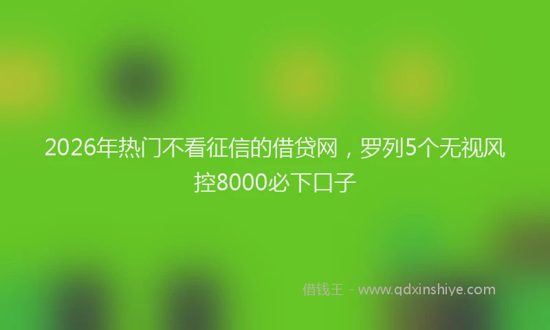 2026年热门不看征信的借贷网，罗列5个无视风控8000必下口子