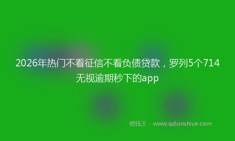 2026年热门不看征信不看负债贷款，罗列5个714无视逾期秒下的app