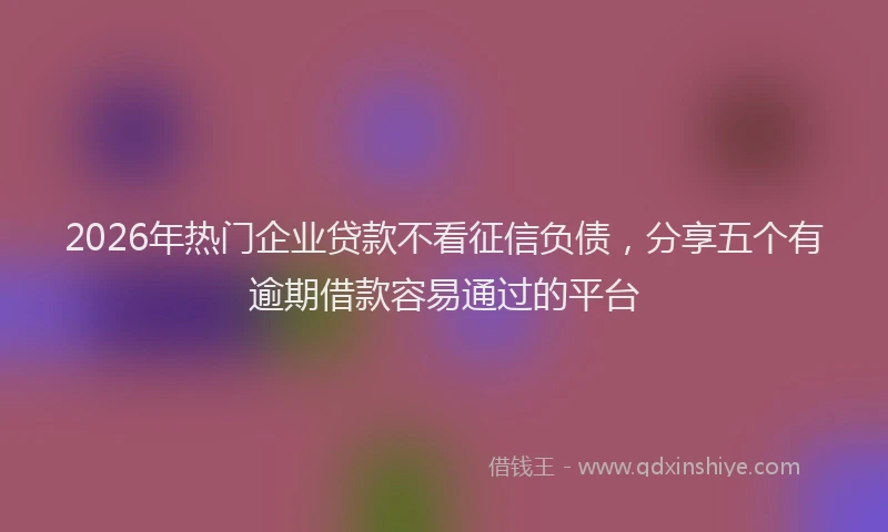 2026年热门企业贷款不看征信负债，分享五个有逾期借款容易通过的平台