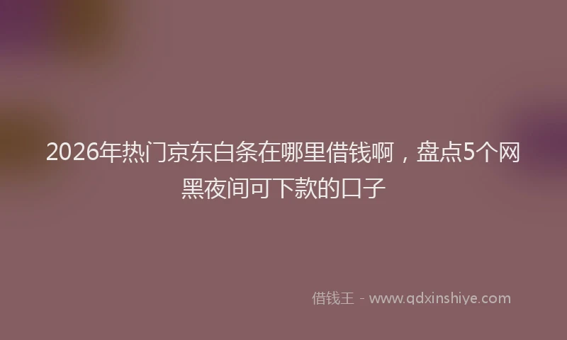 2026年热门京东白条在哪里借钱啊，盘点5个网黑夜间可下款的口子