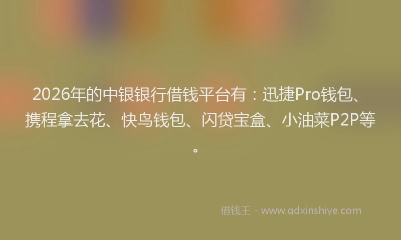 2026年的中银银行借钱平台有：迅捷Pro钱包、携程拿去花、快鸟钱包、闪贷宝盒、小油菜P2P等。
