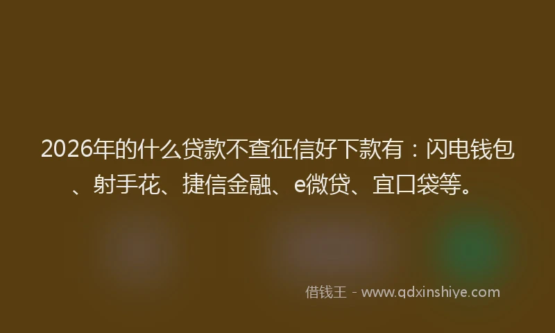 2026年的什么贷款不查征信好下款有：闪电钱包、射手花、捷信金融、e微贷、宜口袋等。