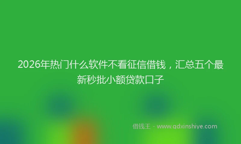 2026年热门什么软件不看征信借钱，汇总五个最新秒批小额贷款口子