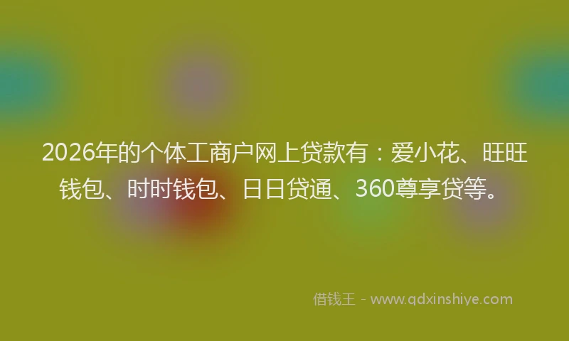 2026年的个体工商户网上贷款有：爱小花、旺旺钱包、时时钱包、日日贷通、360尊享贷等。