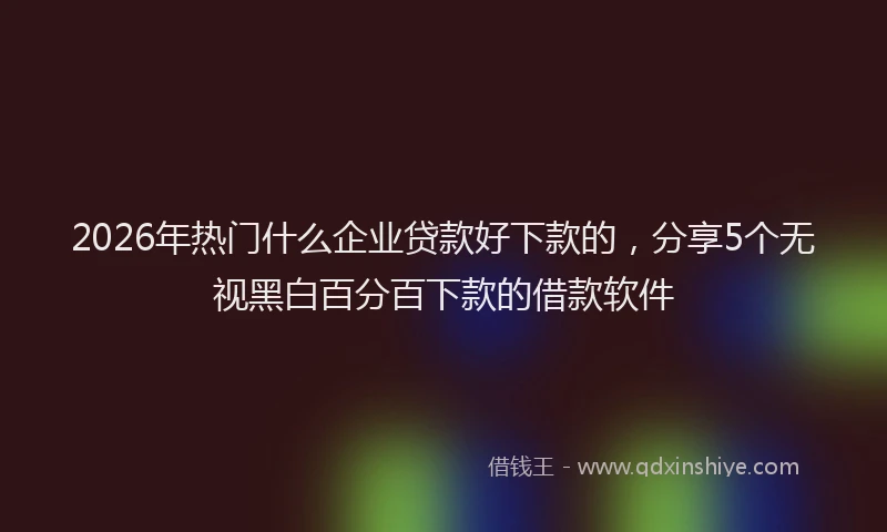 2026年热门什么企业贷款好下款的，分享5个无视黑白百分百下款的借款软件