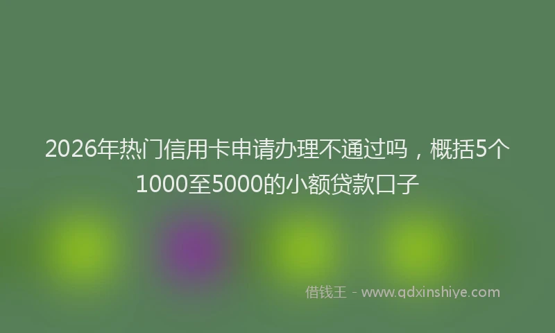 2026年热门信用卡申请办理不通过吗，概括5个1000至5000的小额贷款口子