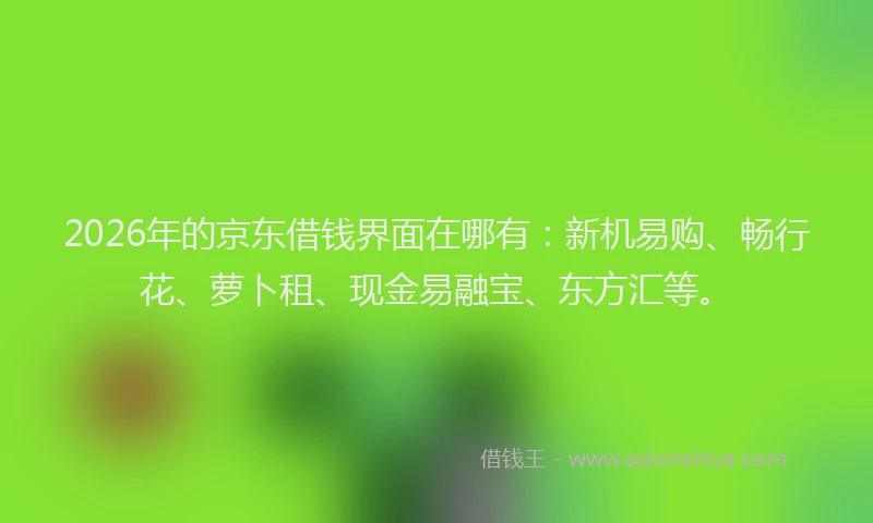 2026年的京东借钱界面在哪有：新机易购、畅行花、萝卜租、现金易融宝、东方汇等。