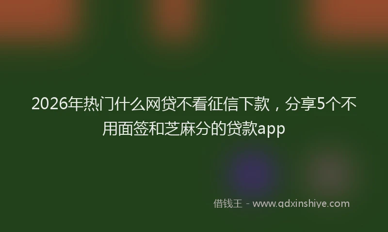 2026年热门什么网贷不看征信下款，分享5个不用面签和芝麻分的贷款app