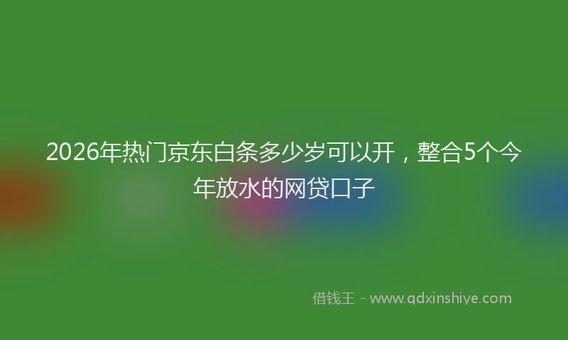 2026年热门京东白条多少岁可以开，整合5个今年放水的网贷口子