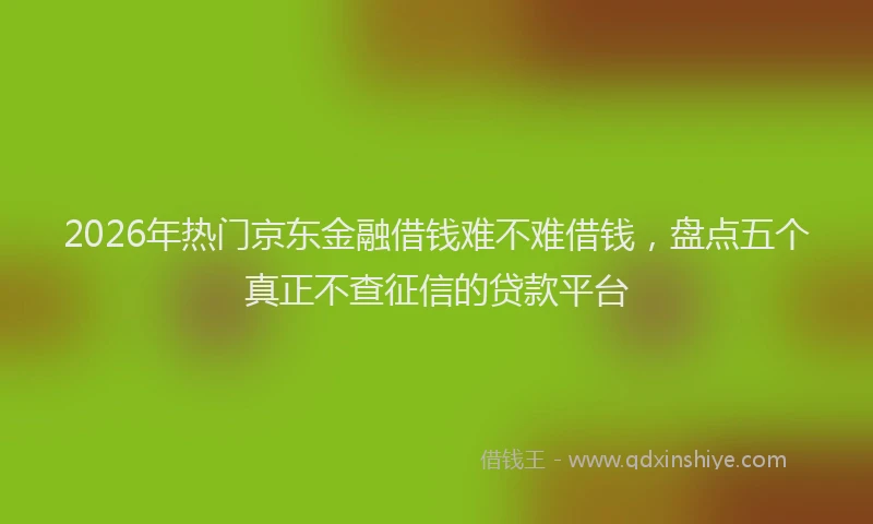 2026年热门京东金融借钱难不难借钱，盘点五个真正不查征信的贷款平台