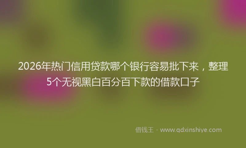 2026年热门信用贷款哪个银行容易批下来，整理5个无视黑白百分百下款的借款口子