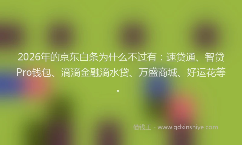 2026年的京东白条为什么不过有：速贷通、智贷Pro钱包、滴滴金融滴水贷、万盛商城、好运花等。