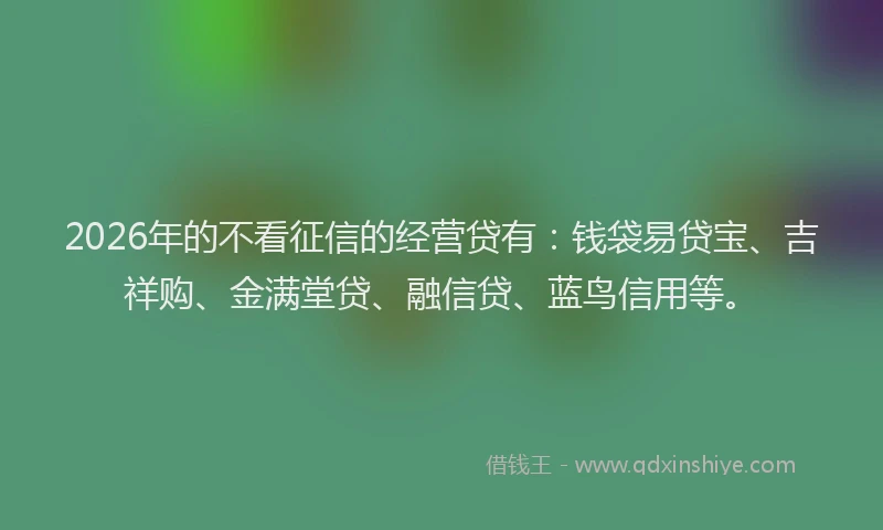 2026年的不看征信的经营贷有：钱袋易贷宝、吉祥购、金满堂贷、融信贷、蓝鸟信用等。