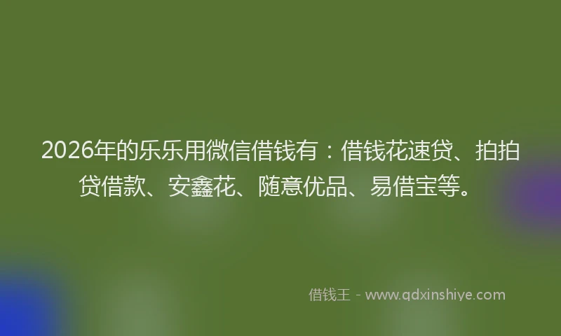 2026年的乐乐用微信借钱有：借钱花速贷、拍拍贷借款、安鑫花、随意优品、易借宝等。
