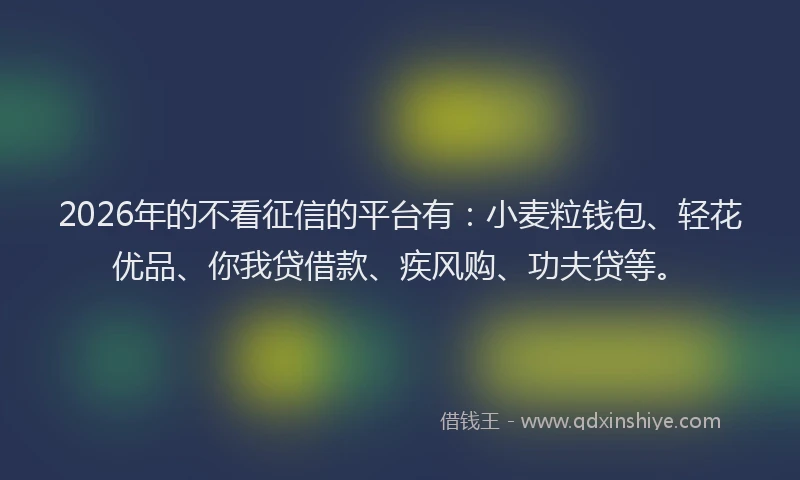 2026年的不看征信的平台有：小麦粒钱包、轻花优品、你我贷借款、疾风购、功夫贷等。
