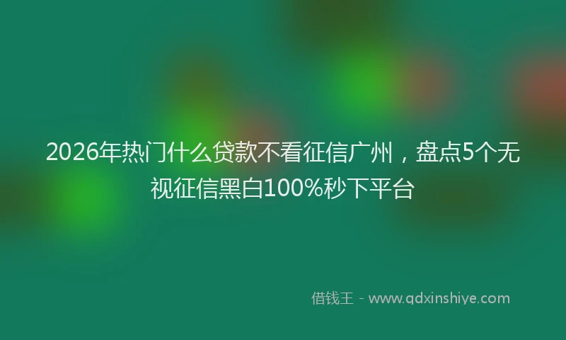 2026年热门什么贷款不看征信广州，盘点5个无视征信黑白100%秒下平台
