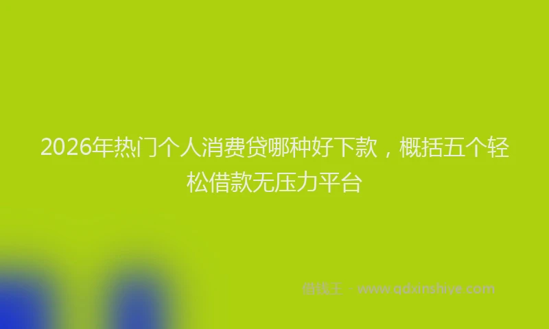 2026年热门个人消费贷哪种好下款，概括五个轻松借款无压力平台