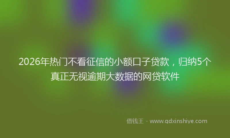 2026年热门不看征信的小额口子贷款，归纳5个真正无视逾期大数据的网贷软件
