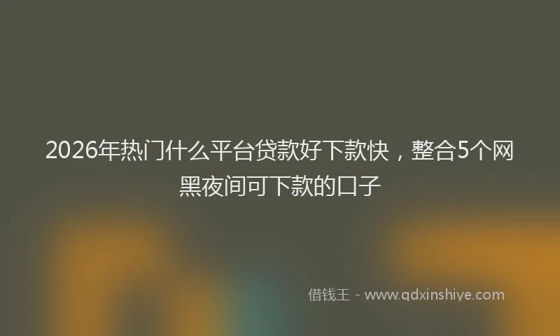 2026年热门什么平台贷款好下款快，整合5个网黑夜间可下款的口子