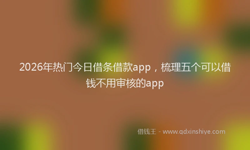 2026年热门今日借条借款app，梳理五个可以借钱不用审核的app