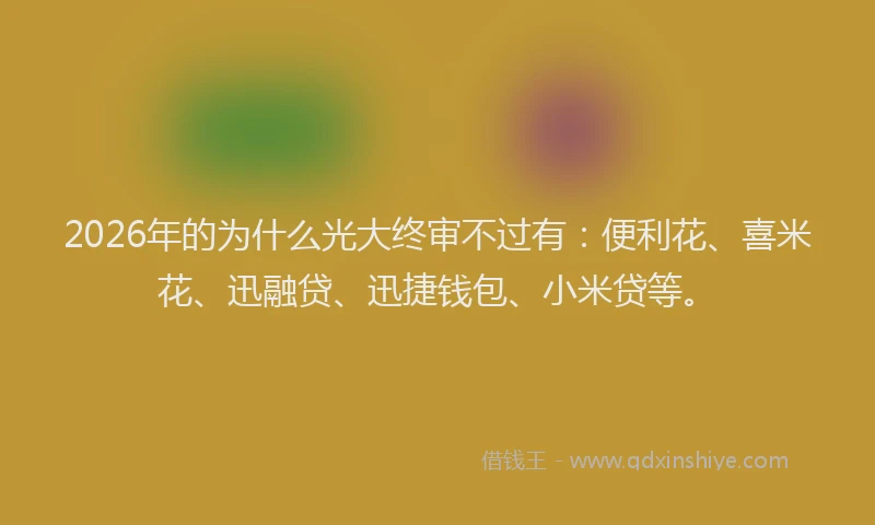 2026年的为什么光大终审不过有：便利花、喜米花、迅融贷、迅捷钱包、小米贷等。