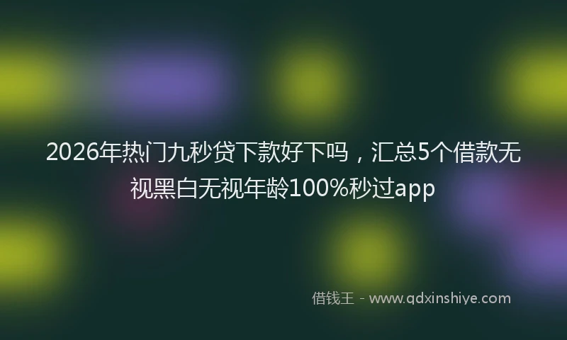 2026年热门九秒贷下款好下吗，汇总5个借款无视黑白无视年龄100%秒过app