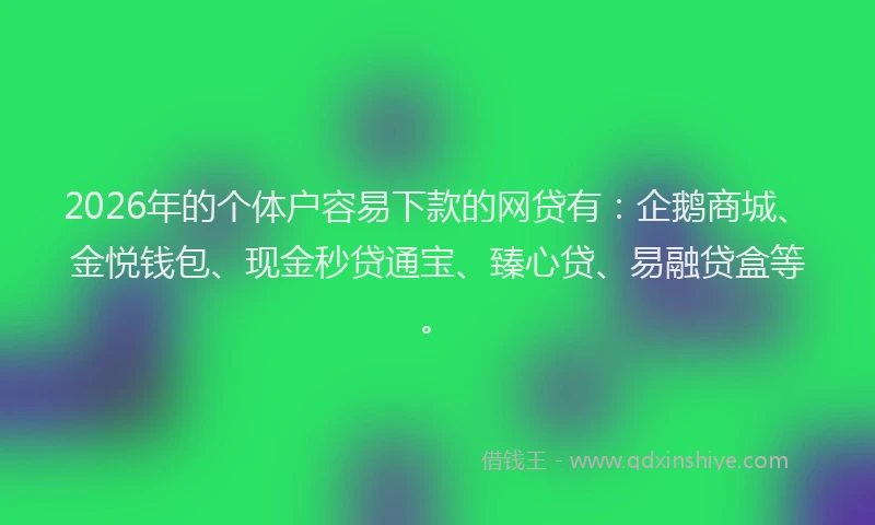 2026年的个体户容易下款的网贷有：企鹅商城、金悦钱包、现金秒贷通宝、臻心贷、易融贷盒等。