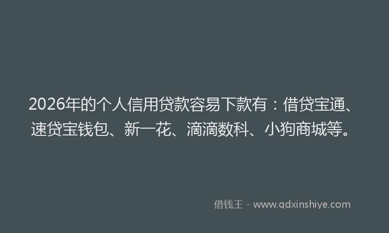 2026年的个人信用贷款容易下款有：借贷宝通、速贷宝钱包、新一花、滴滴数科、小狗商城等。