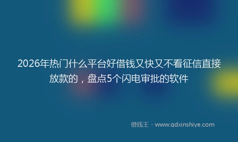 2026年热门什么平台好借钱又快又不看征信直接放款的，盘点5个闪电审批的软件
