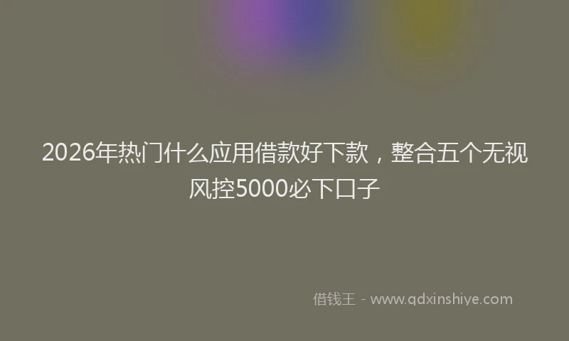 2026年热门什么应用借款好下款，整合五个无视风控5000必下口子