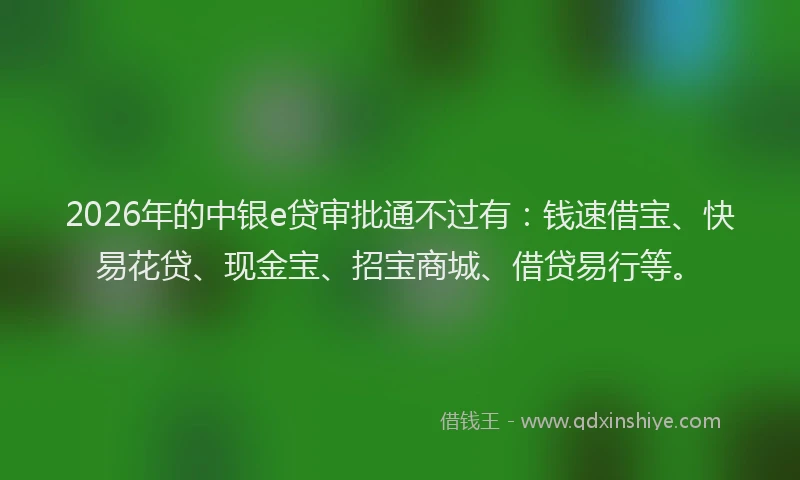2026年的中银e贷审批通不过有：钱速借宝、快易花贷、现金宝、招宝商城、借贷易行等。