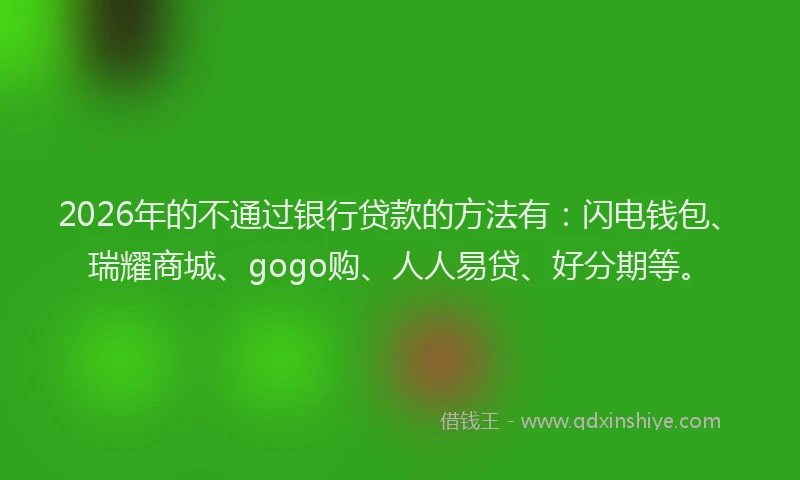 2026年的不通过银行贷款的方法有：闪电钱包、瑞耀商城、gogo购、人人易贷、好分期等。