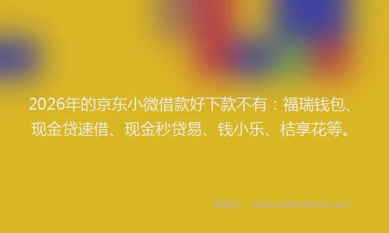 2026年的京东小微借款好下款不有：福瑞钱包、现金贷速借、现金秒贷易、钱小乐、桔享花等。