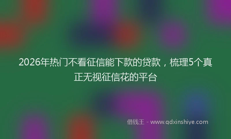2026年热门不看征信能下款的贷款，梳理5个真正无视征信花的平台