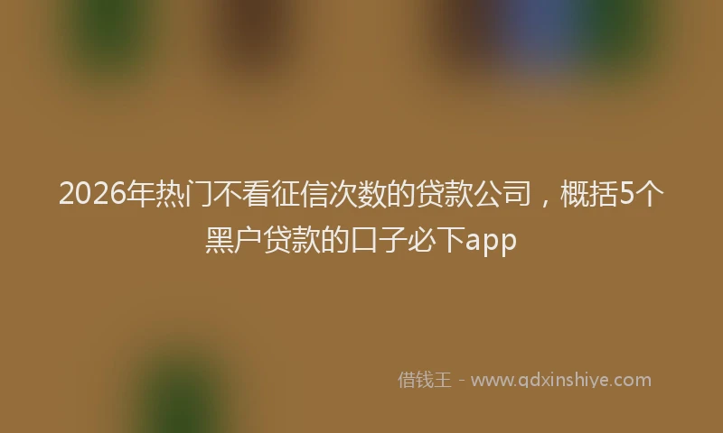 2026年热门不看征信次数的贷款公司，概括5个黑户贷款的口子必下app