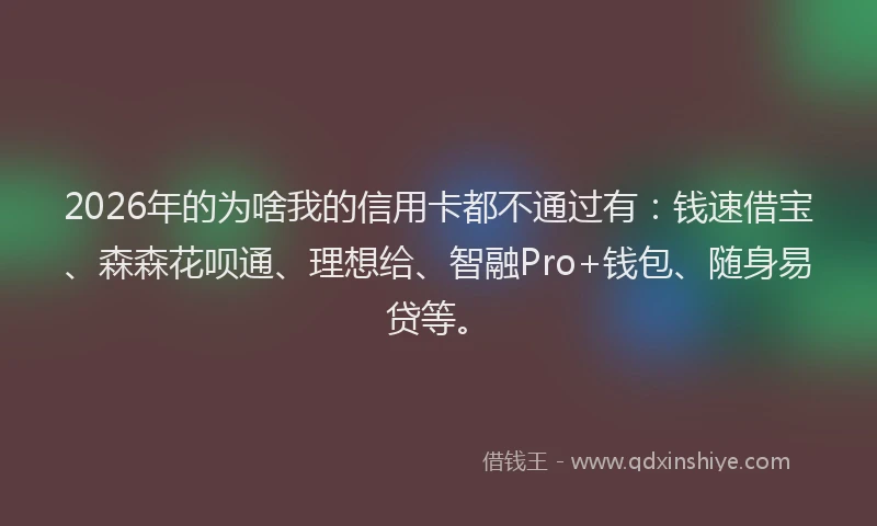 2026年的为啥我的信用卡都不通过有：钱速借宝、森森花呗通、理想给、智融Pro+钱包、随身易贷等。