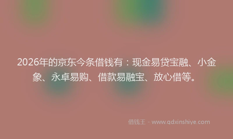 2026年的京东今条借钱有：现金易贷宝融、小金象、永卓易购、借款易融宝、放心借等。