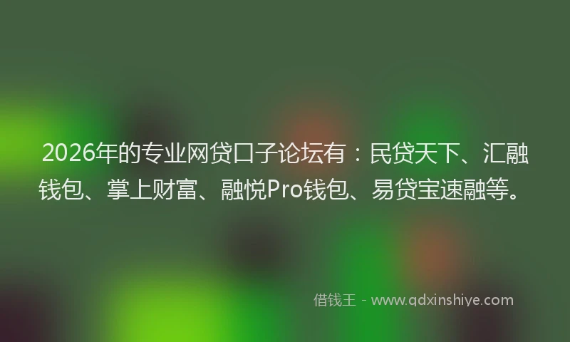 2026年的专业网贷口子论坛有：民贷天下、汇融钱包、掌上财富、融悦Pro钱包、易贷宝速融等。